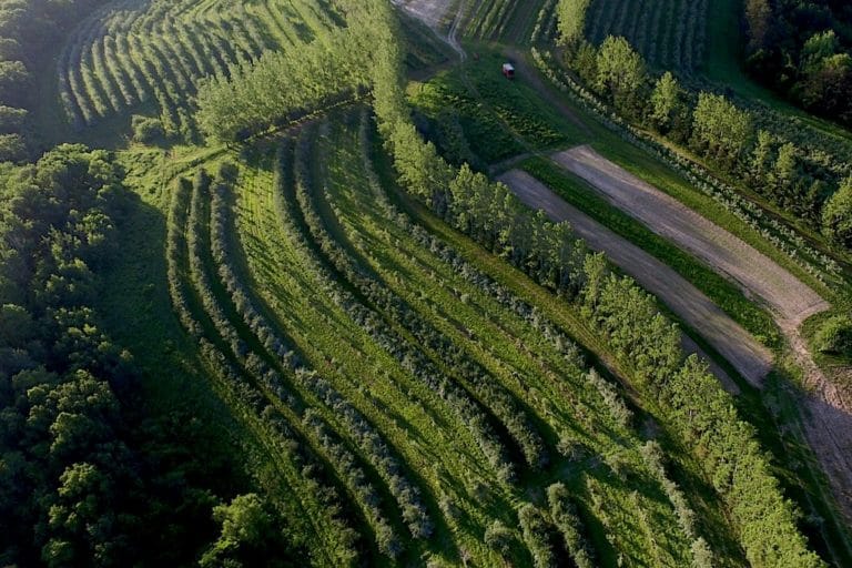 Greening India's Wastelands with Agroforestry (GROW) · UPSCprep.com