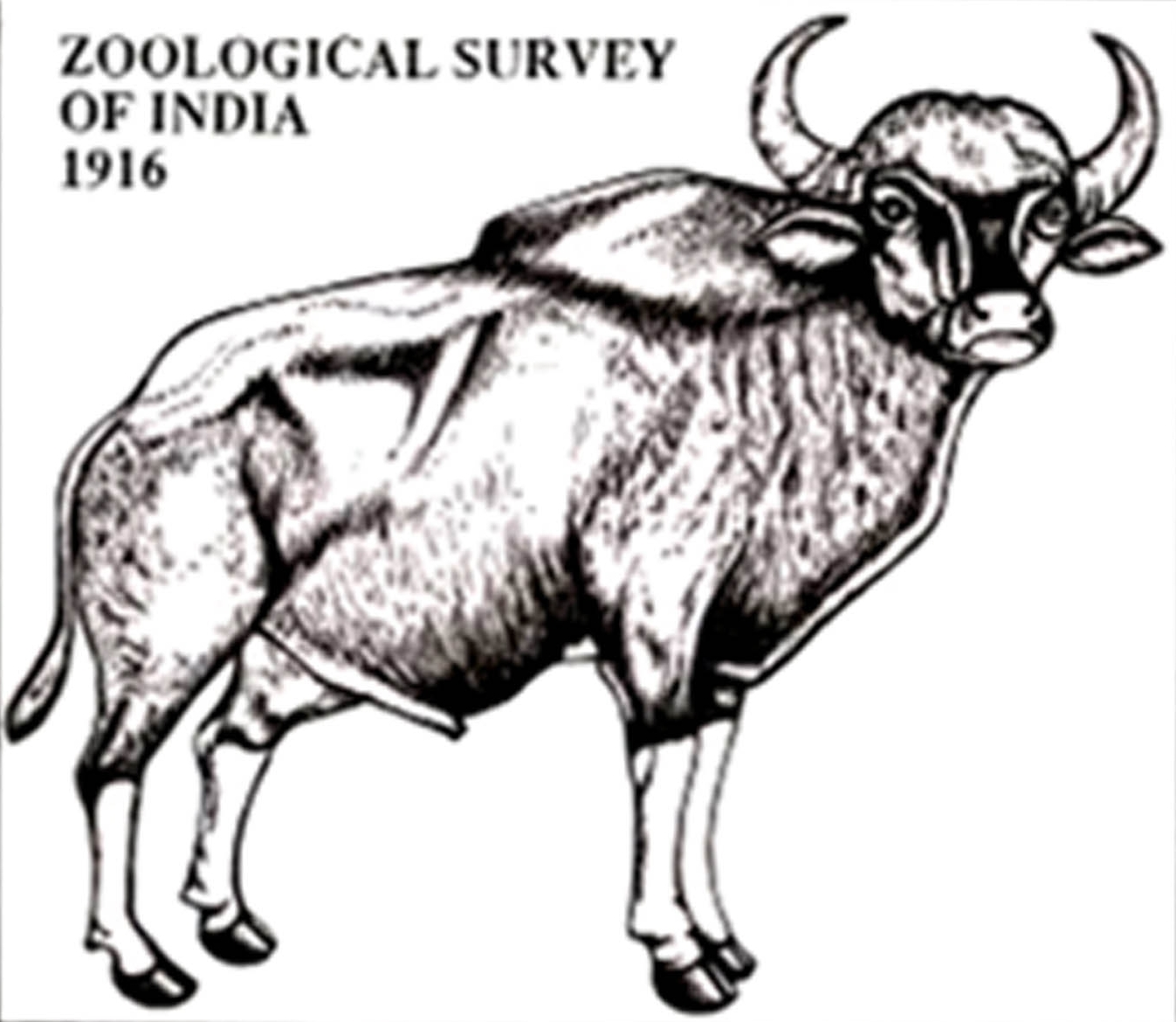 ZOOLOGICAL SURVEY OF INDIA (ZSI)