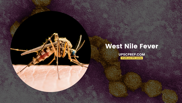 What is West Nile Fever?
