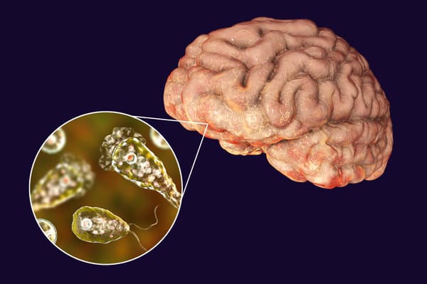 What is Naegleria fowleri or ‘Brain-Eating Amoeba’?