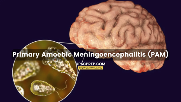 Naegleria Fowleri: Brain-Eating Amoeba